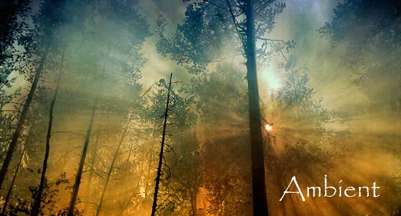 Ambient Music