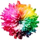 Upbeat Funk Background